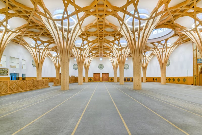 Αποσκληρυντές